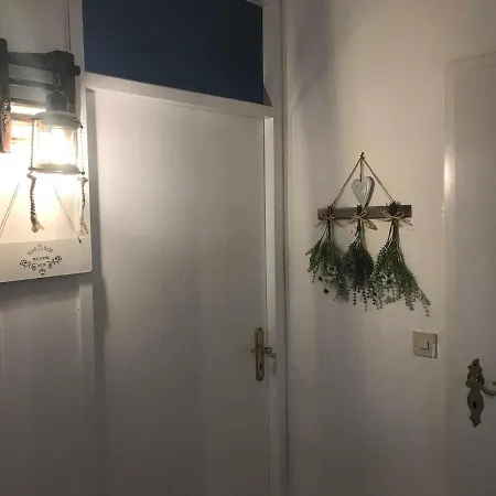 Caroline Apartman